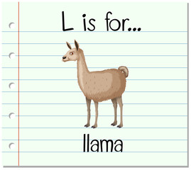 Flashcard letter L is for llama © blueringmedia