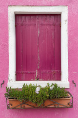 Old window with dark pink shutters on pink wall