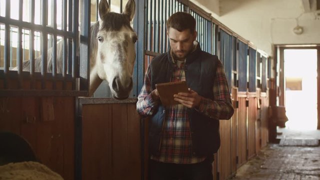 Man is using a tablet computer next to a horse in a stable. Shot on RED Cinema Camera.