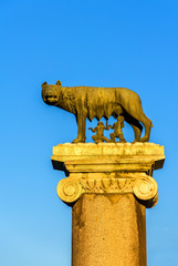 Fototapeta premium Capitoline Wolf statue in Rome, Italy