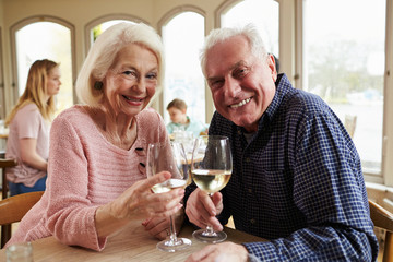 Senior Couple Enjoying Glass Of Wine In Restaurant