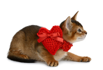 Valentine theme kitten with red heart isolated