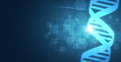 sfondo, dna, scienza, biologia, vettoriale © xyz+