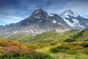 Spectacular alpine landscape with mountain flowers,Switzerland,Europe
