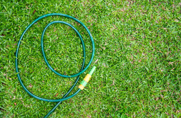 Rubber tube in the garden.