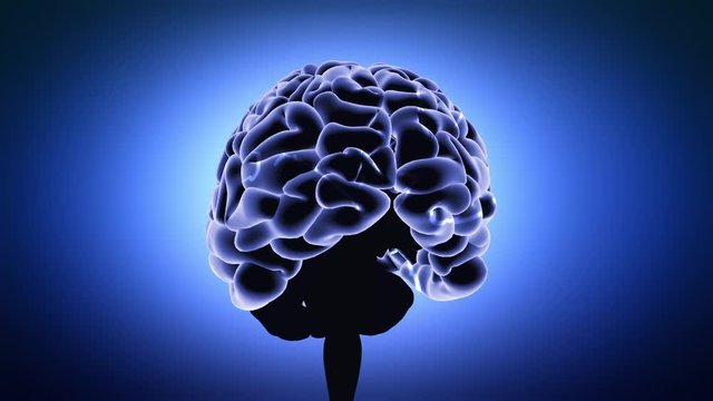 Brain with blue background in action
