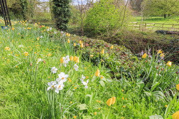 Beautiful places around the famous Cambridge University