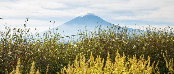 Fuji mountain