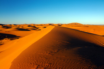 sahara desert dune