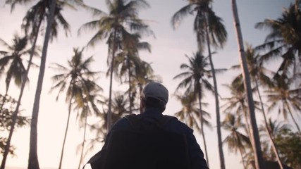 Marche à travers les cocotiers 