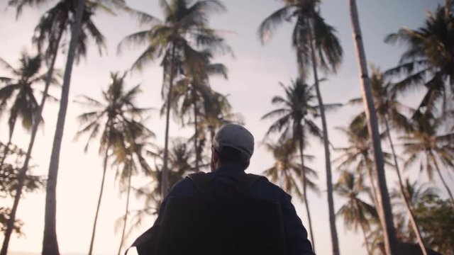 Marche &agrave; travers les cocotiers 