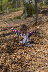 Little boy and autumn leaves