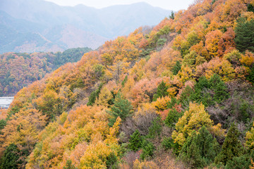 Fototapeta premium Autumn mountain