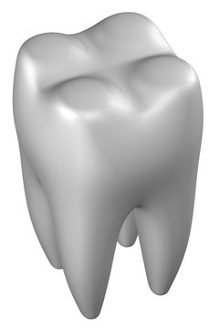 Human tooth. 3D rendering.