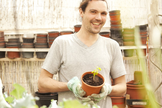 Smiling man holding flowerpot with Moringa seedling