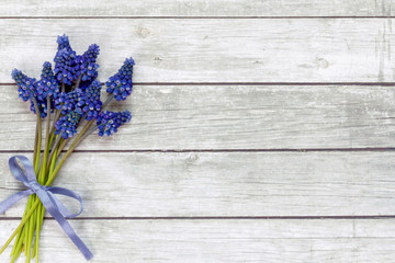 Bouquet of hyacinths