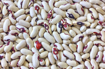 Colorful haricot beans background