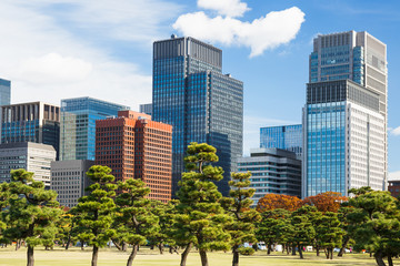 Building city