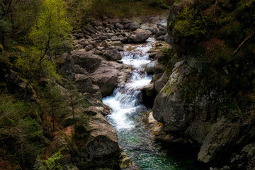 Wild river waterfalls - val vigezzo (Italian Alps)