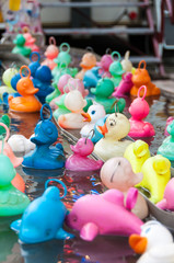 Fototapeta na wymiar Plastic ducks at a fair