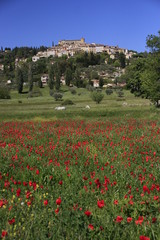 Callian au Printemps