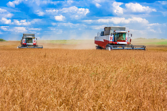 harvesting combine cereals wheat rye barley and other
