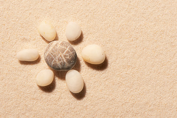 Fototapeta na wymiar Flower made of sea stones on sand. Summer beach background