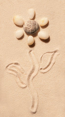 Fototapeta na wymiar Flower of sea stones, stem and leaves drawn on sand