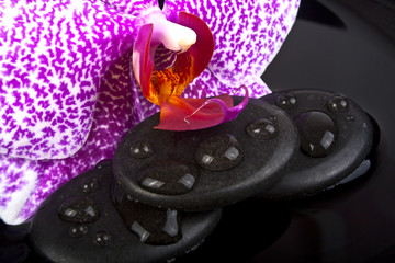 Pink orchid and stones for massage on black background