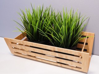 Green Artificial Grass in A Wooden Container