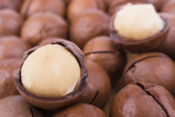 a group of macadamia nuts 