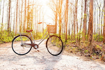 Fototapeta premium Beautiful vintage bicycle in the forest with beautiful sunlight;vintage filter tone for poster and postcard.