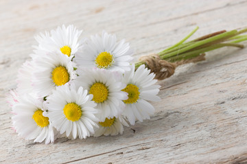 Bouquet of daisies on white wooden background
