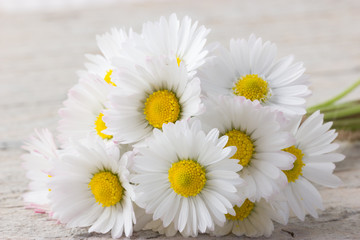 Bouquet of daisies on white wooden blurred background