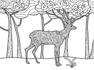 Deer coloring book for adults raster