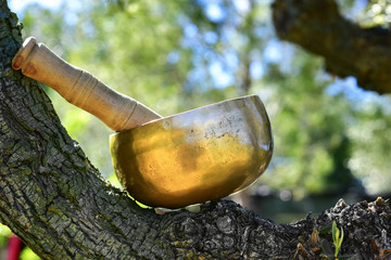 tibetan singing bowl