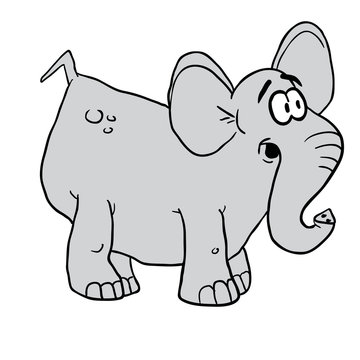 elephant