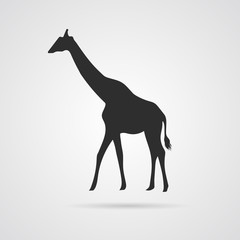 Vector Gray Silhouette of Giraffe