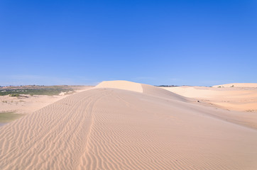 Fototapeta na wymiar Landscape White sand dune with car tracks in Mui Ne, Vietnam Pop