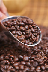 coffee beans