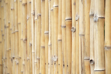Bamboo fence / View of bamboo fence soft focus use as background.