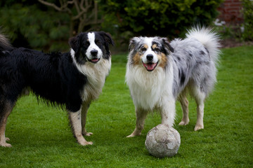 Aussies spielen mit Fußball