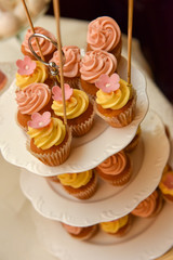 Cupcakes with yellow and pink cream on plates