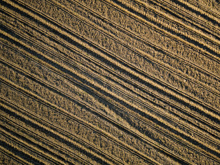 Aerial view of a field.