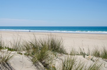 Fototapeta na wymiar Stranddünen an der Costa de la Luz, Andalusien