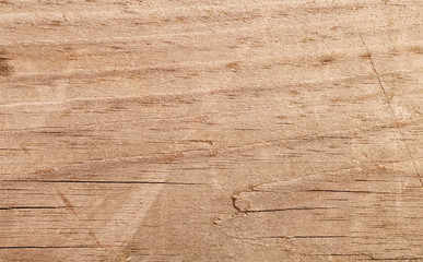 Obraz premium natural wood texture closeup