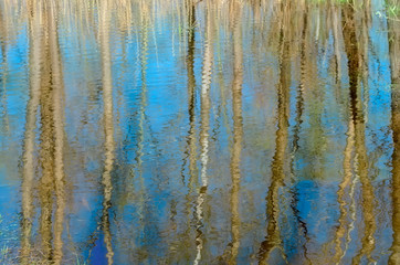 Photography blur tree reflection on water. Natural background.
