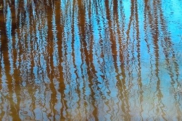 Obraz premium Photography blur tree reflection on water. Natural background.