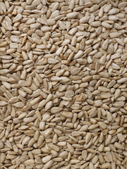 Sun flower seeds background