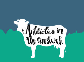 Antibiotic for animals